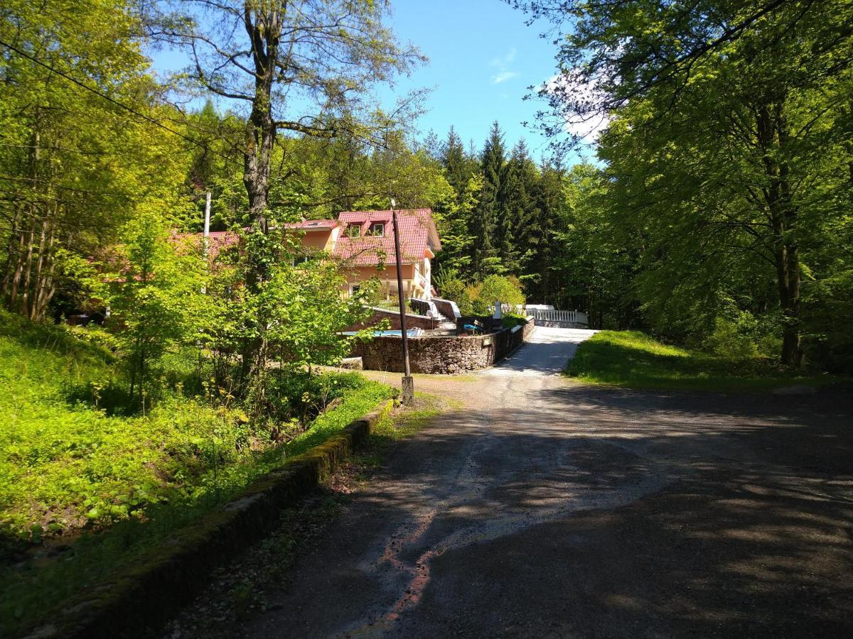 Dworek Lesny Kudowa Zdroj Exterior photo
