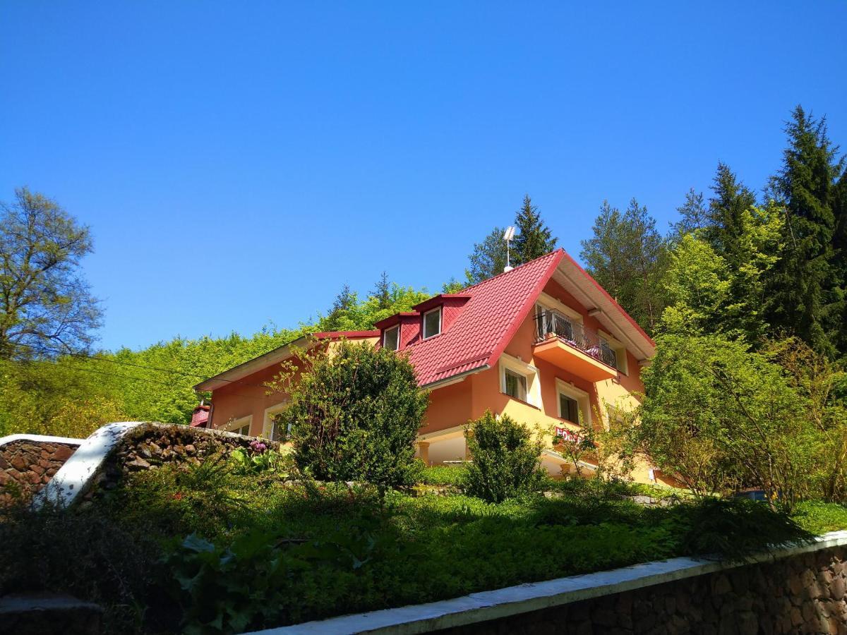 Dworek Lesny Kudowa Zdroj Exterior photo