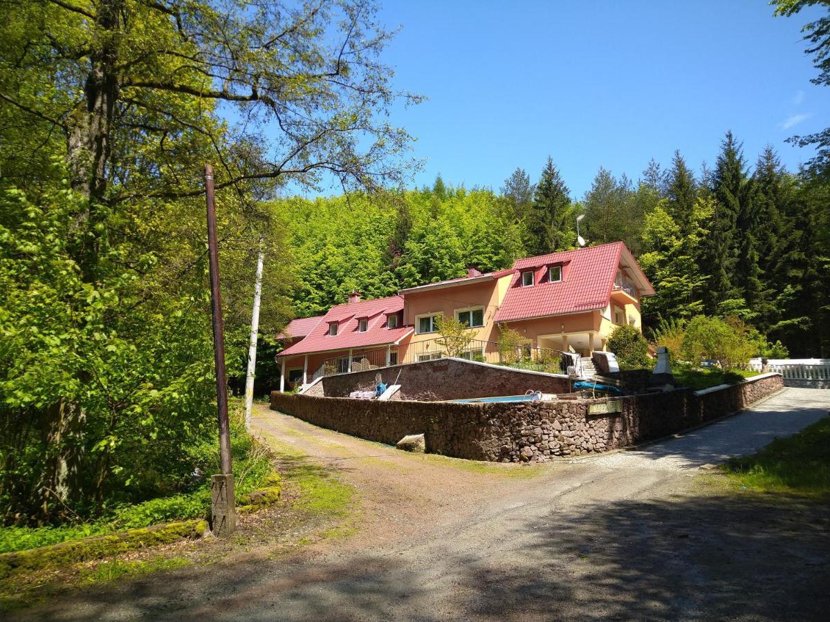 Dworek Lesny Kudowa Zdroj Exterior photo
