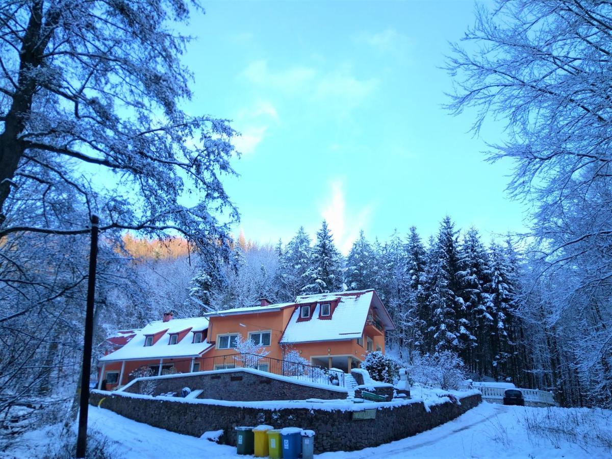 Dworek Lesny Kudowa Zdroj Exterior photo